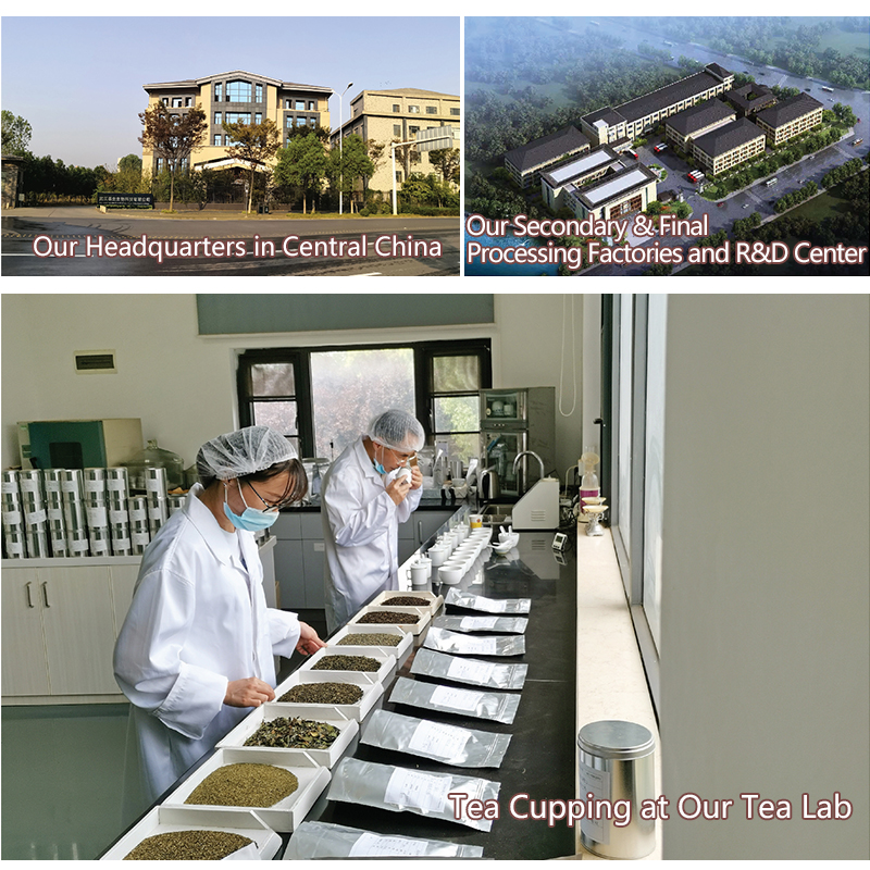 organic congou black tea 21303 - product details - globaltrade