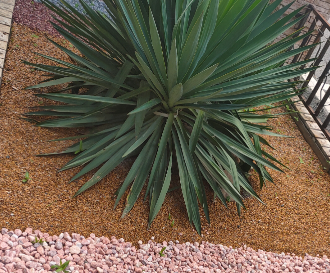 vns-石米 - product details - globaltradeweek.com