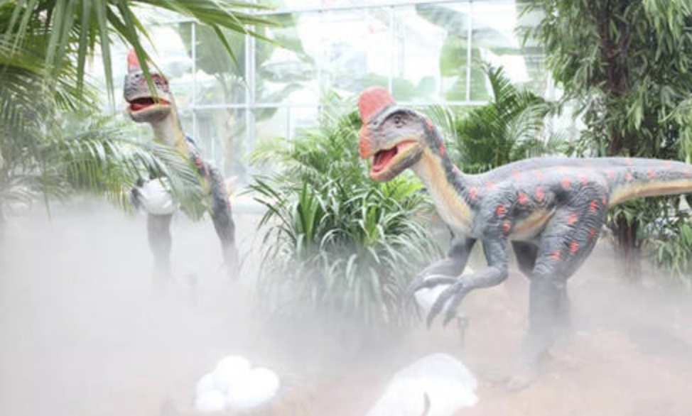 Zigong Dinosaur Source Design Co.,Ltd.