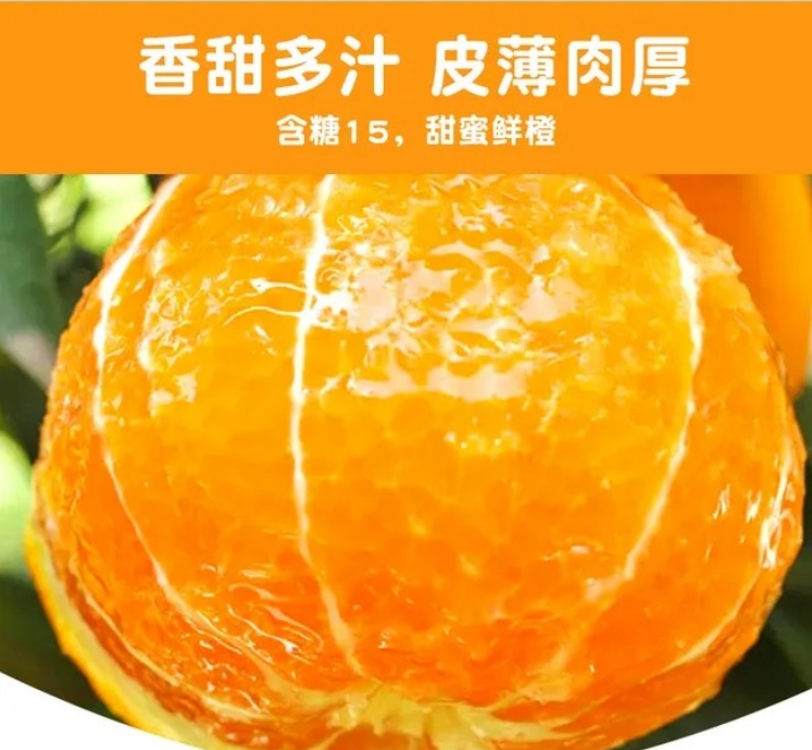 微信图片_20210603113437.png