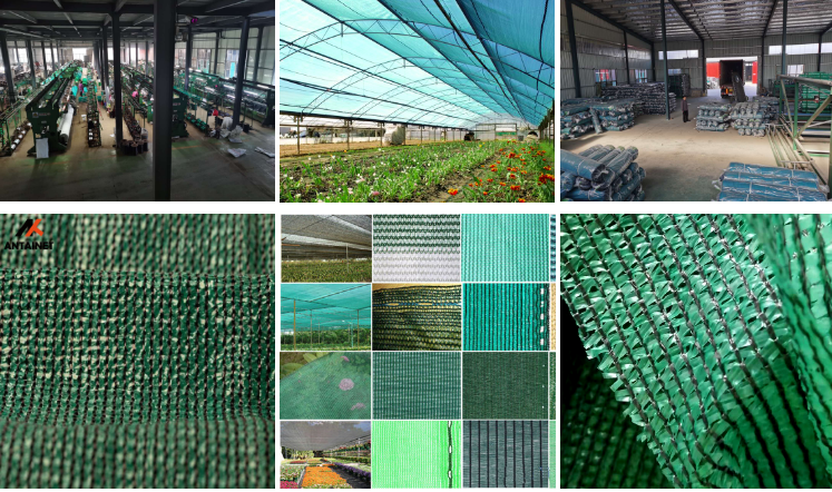 shade net 1.png