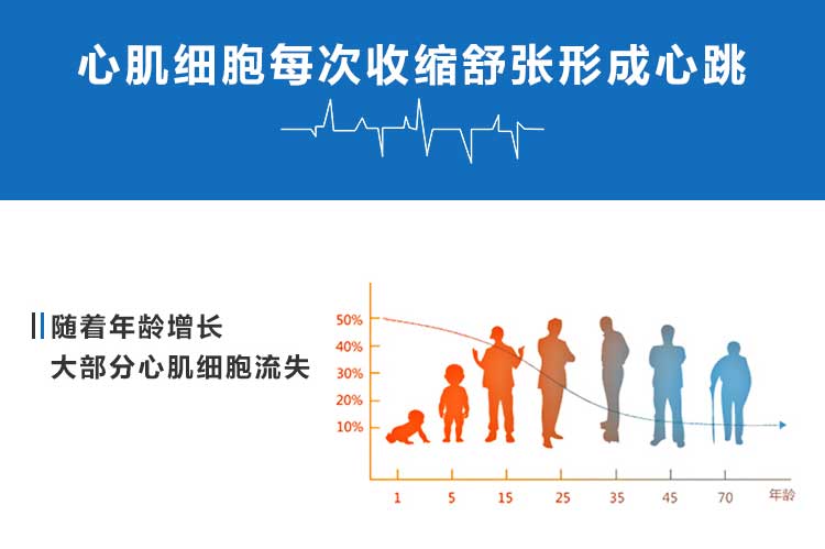 心肽(5)_02.jpg 心肽(5)_02.jpg