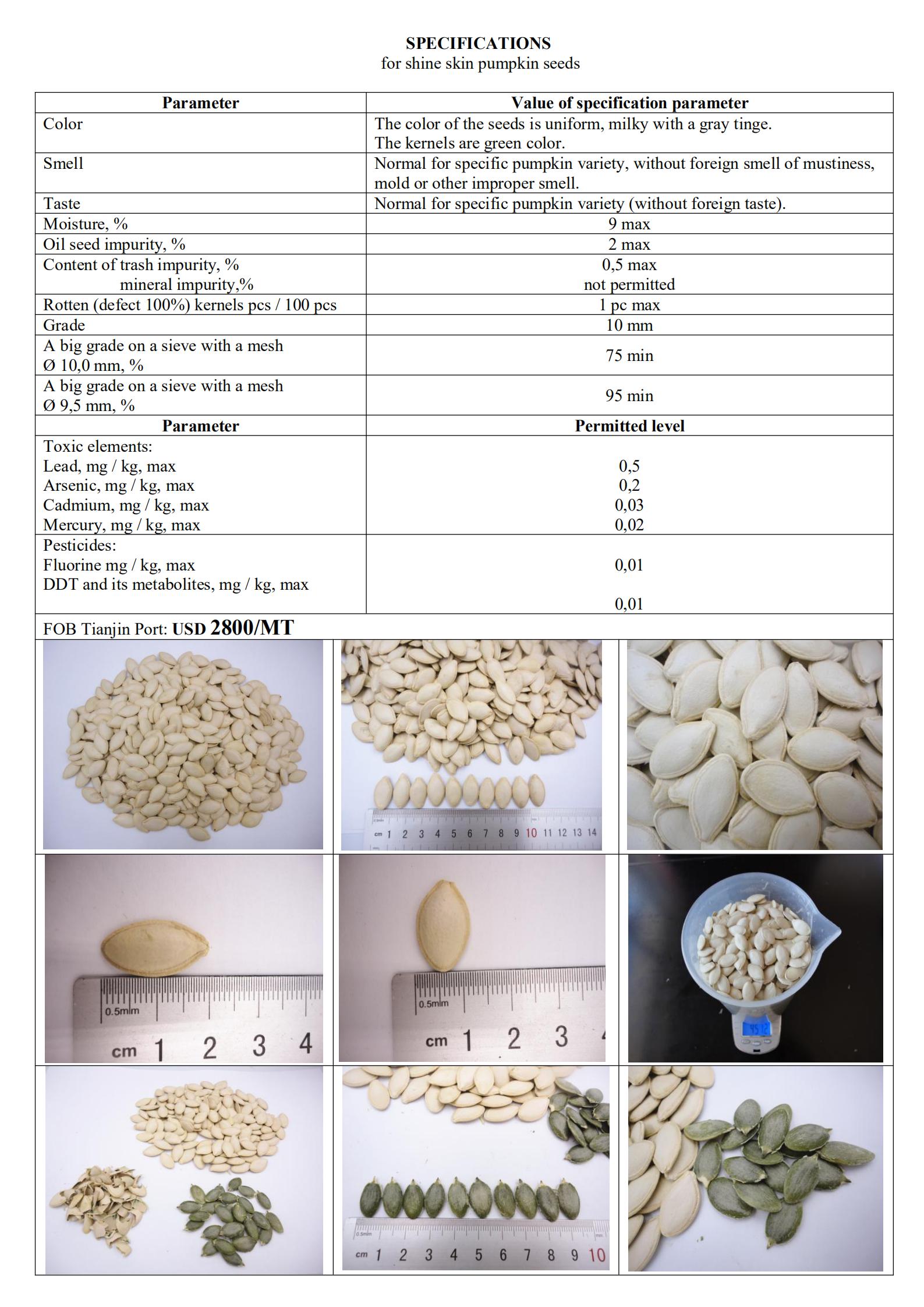 Specification of shine skin pumpkin seed_00.jpg Specification of shine skin pumpkin seed_00.jpg