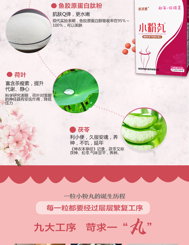 小粉_06.jpg