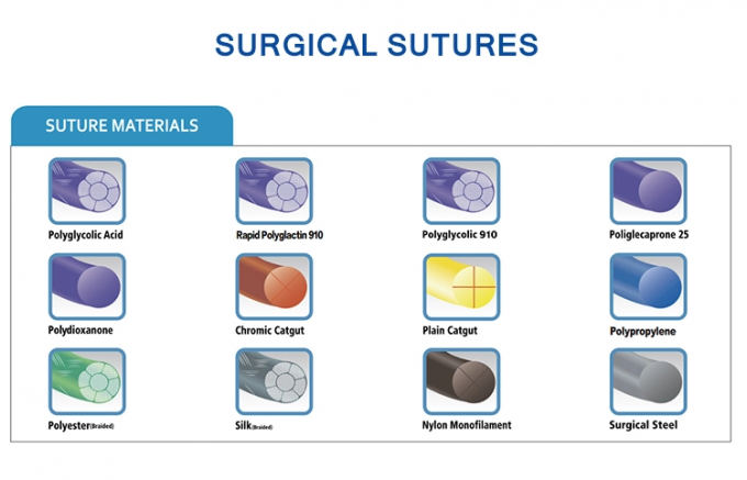 EO Gas Absorbable Surgical Sutures Disposable Medical Instruments 0