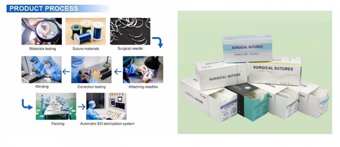 EO Gas Absorbable Surgical Sutures Disposable Medical Instruments 2