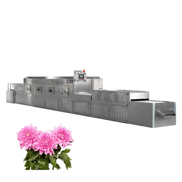 4-d-m-w-chrysanthemum-750.jpg 4-d-m-w-chrysanthemum-750.jpg