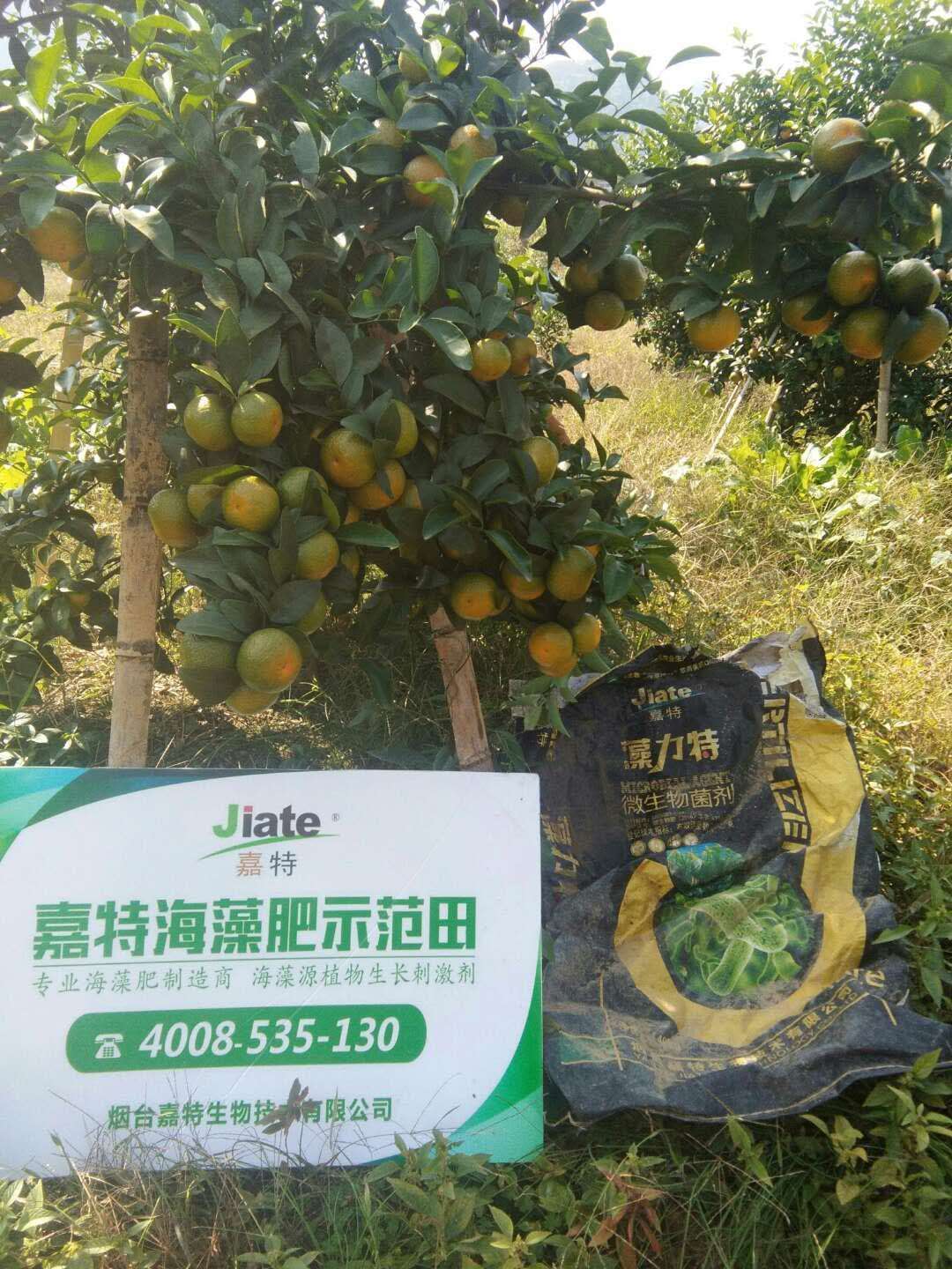 微信图片_20200406150556.jpg