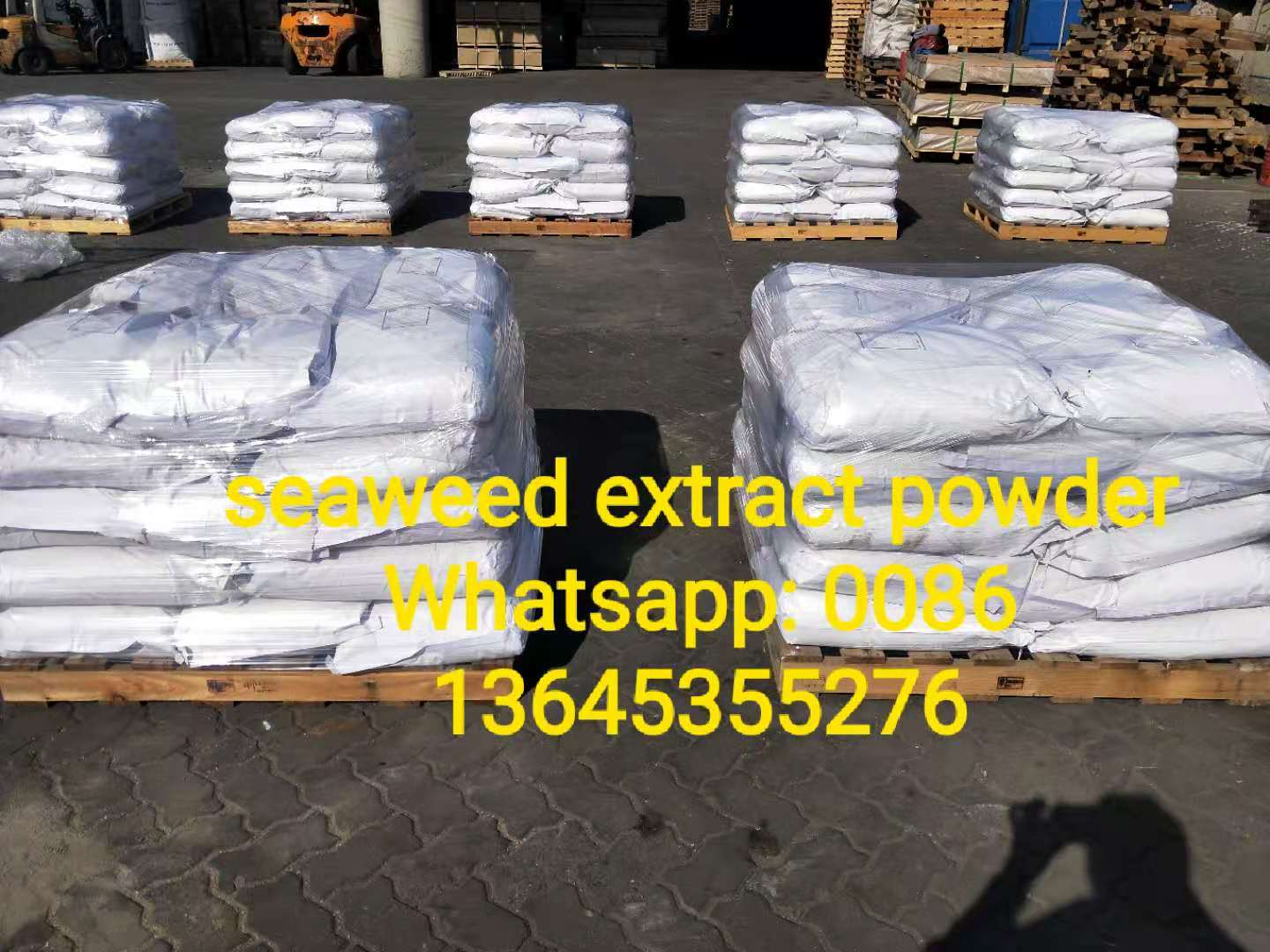 seaweed powder 1.jpg