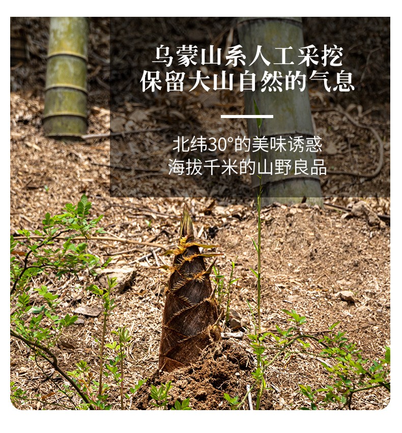 详情_03.jpg