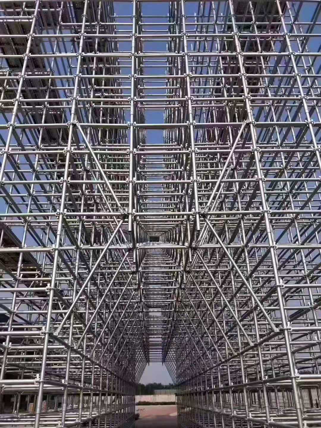 1 (15).jpg