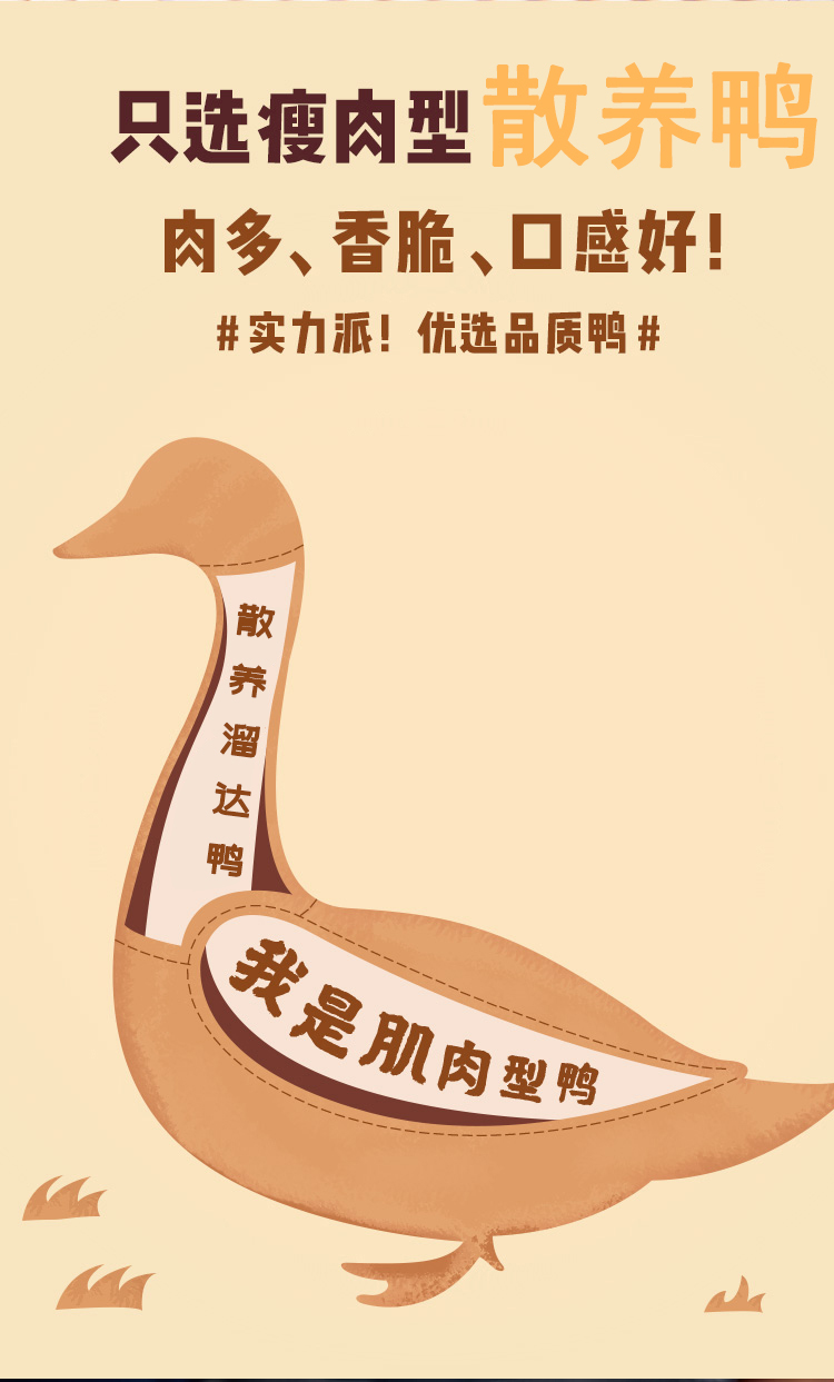 200g红烧鸭翅描述_07.jpg