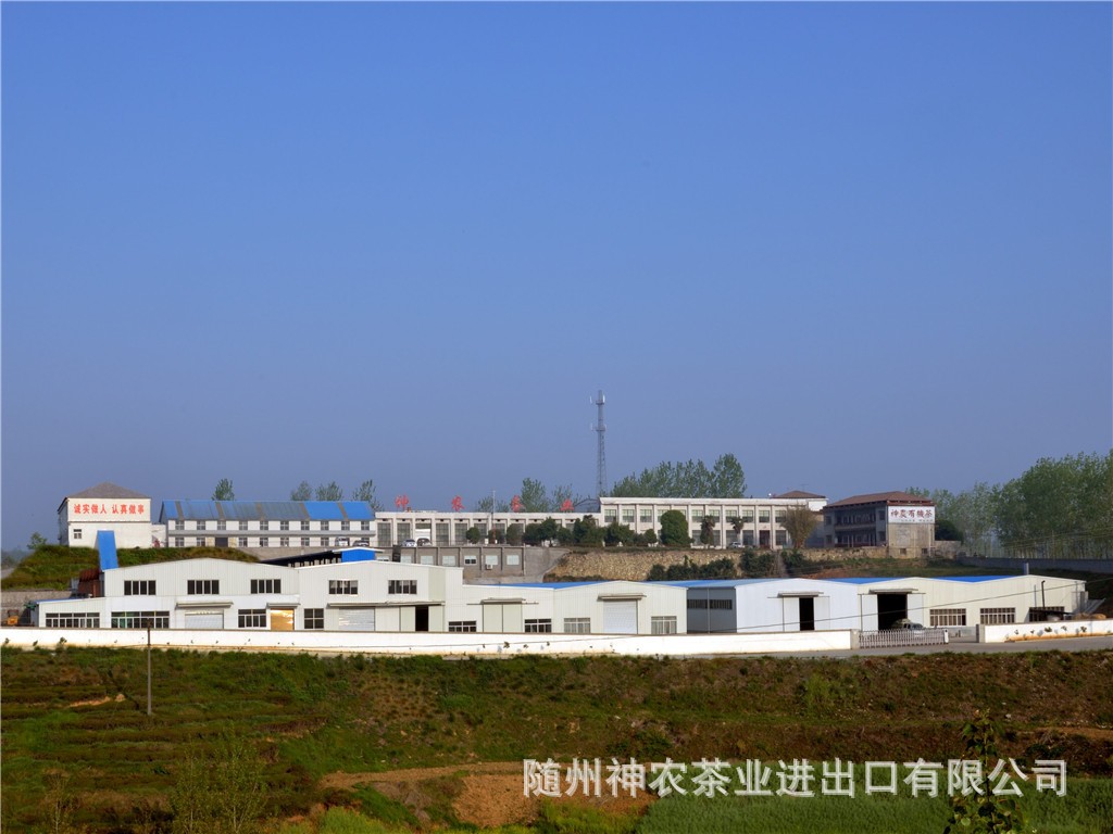 公司.jpg