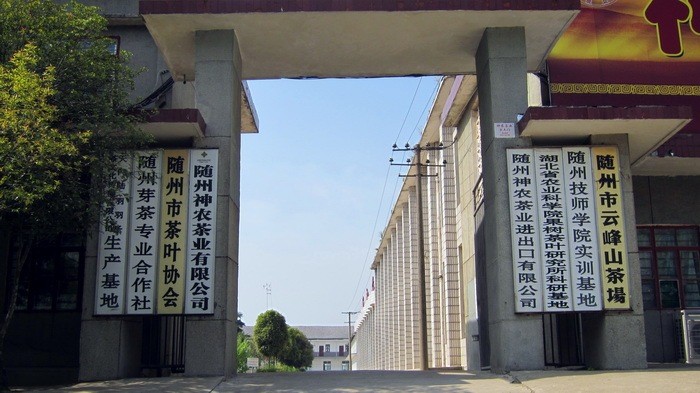 公司大门.jpg