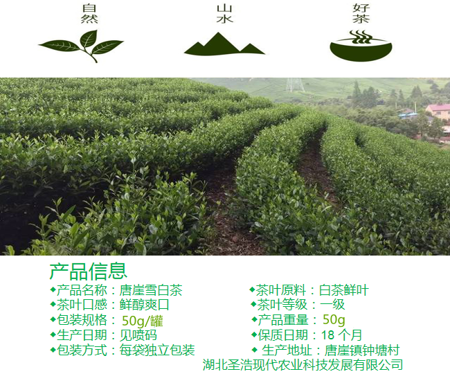 白茶环保罐2.png