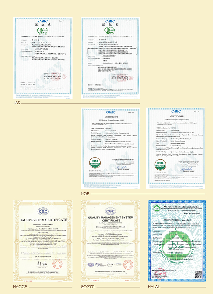 Certificate.jpg
