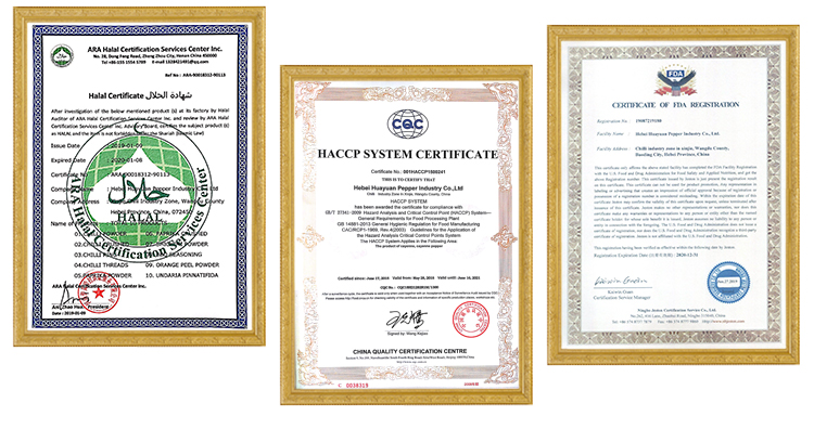 Certificate.jpg