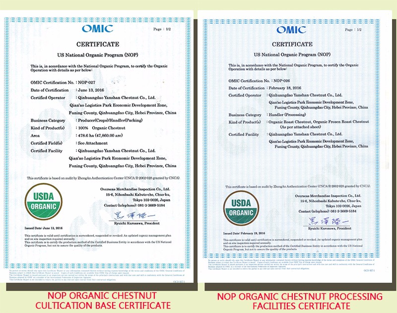 NOP CERTIFICATE(2016.11.26).jpg