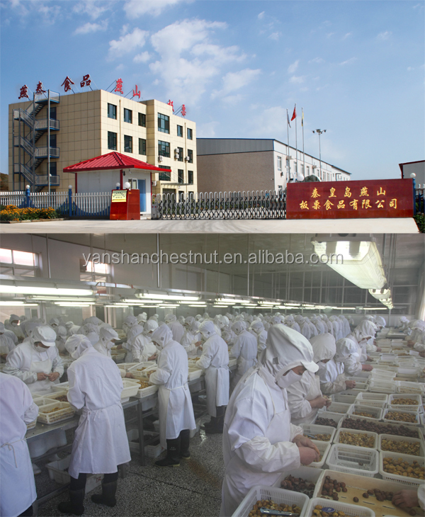 Qinhuangdao Yanshan Chestnut.jpg