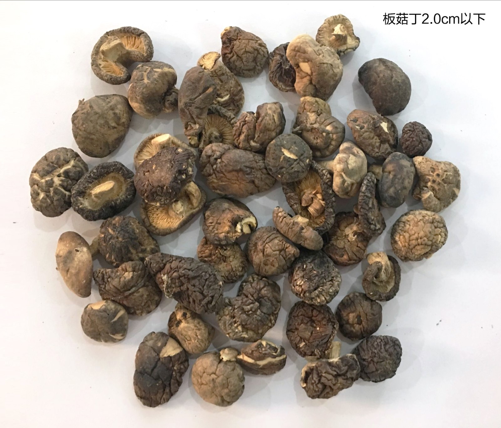板菇丁.jpg