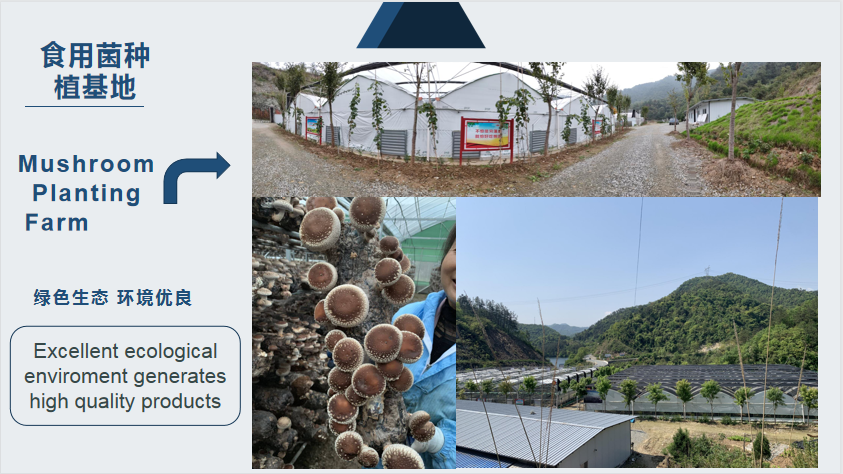 Planting Farm (2).png Planting Farm (2).png