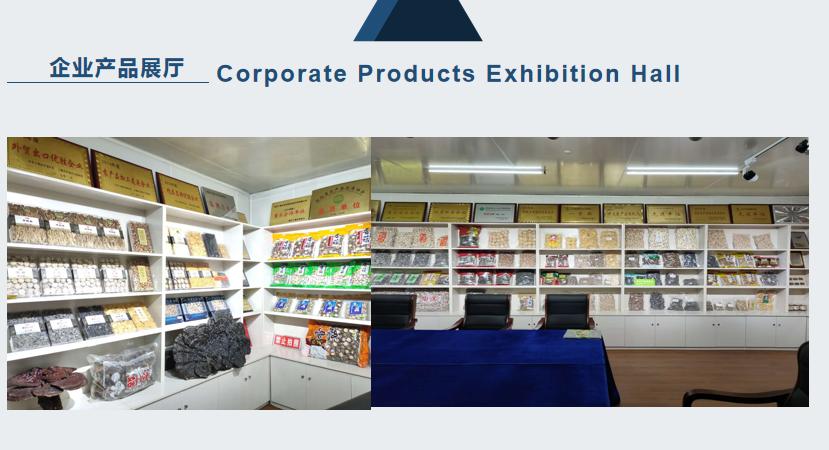 Exhabition Hall.png Exhabition Hall.png