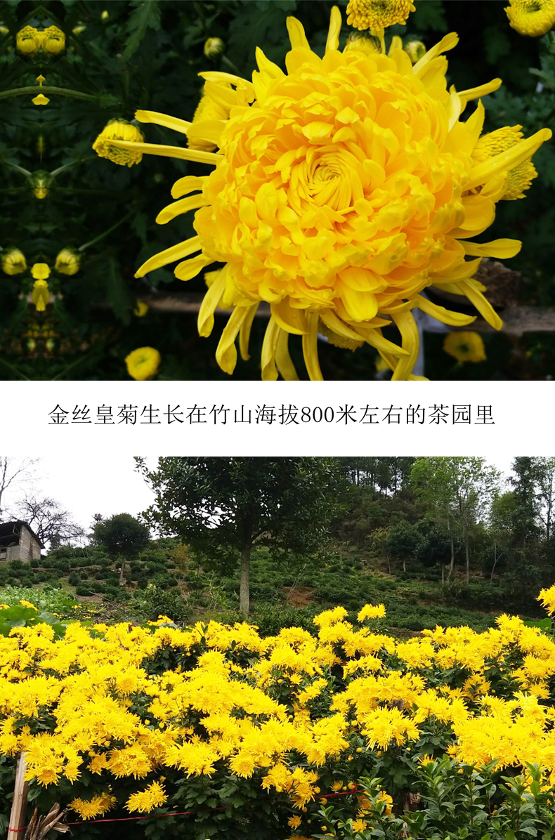 src=http___img.alicdn.com_imgextra_i3_2071045693_O1CN01S5tyWk1rvRL2EwXtH_!!2071045693.png&refer=http___img.alicdn.png