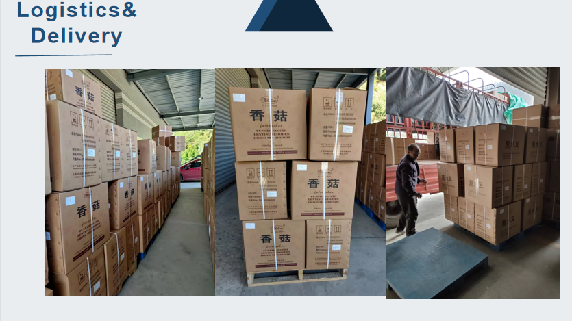 Logistic.png Logistic.png
