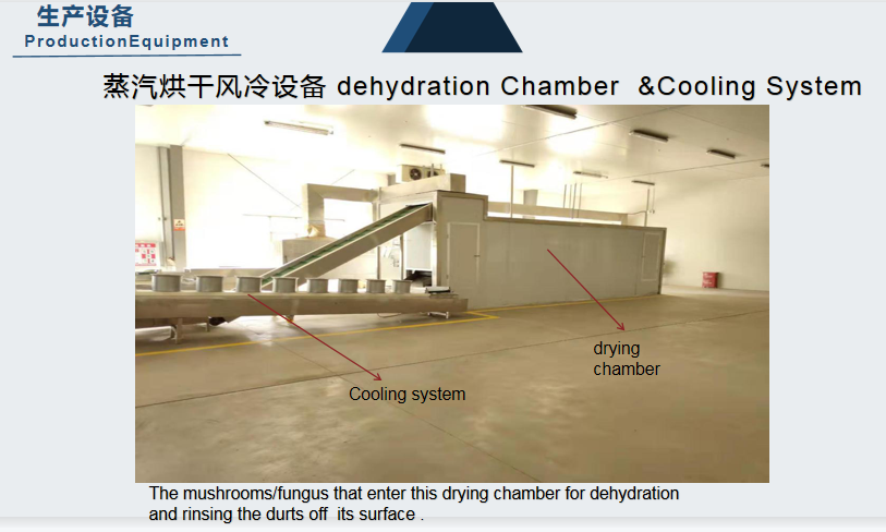 dehydration chamber.png dehydration chamber.png