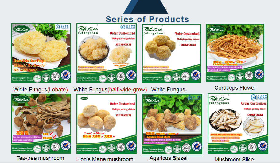 products-series-02.jpg products-series-02.jpg
