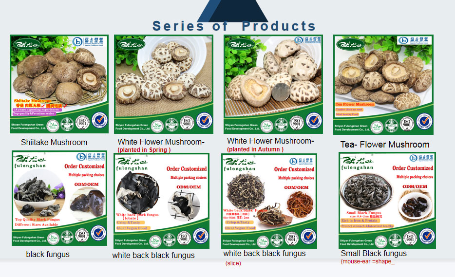 products-series--01.jpg products-series--01.jpg