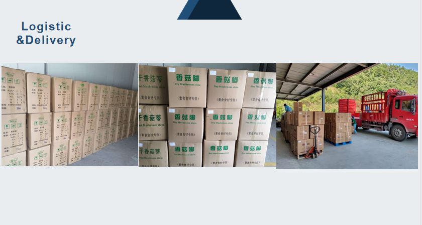 Logistic -.png Logistic -.png