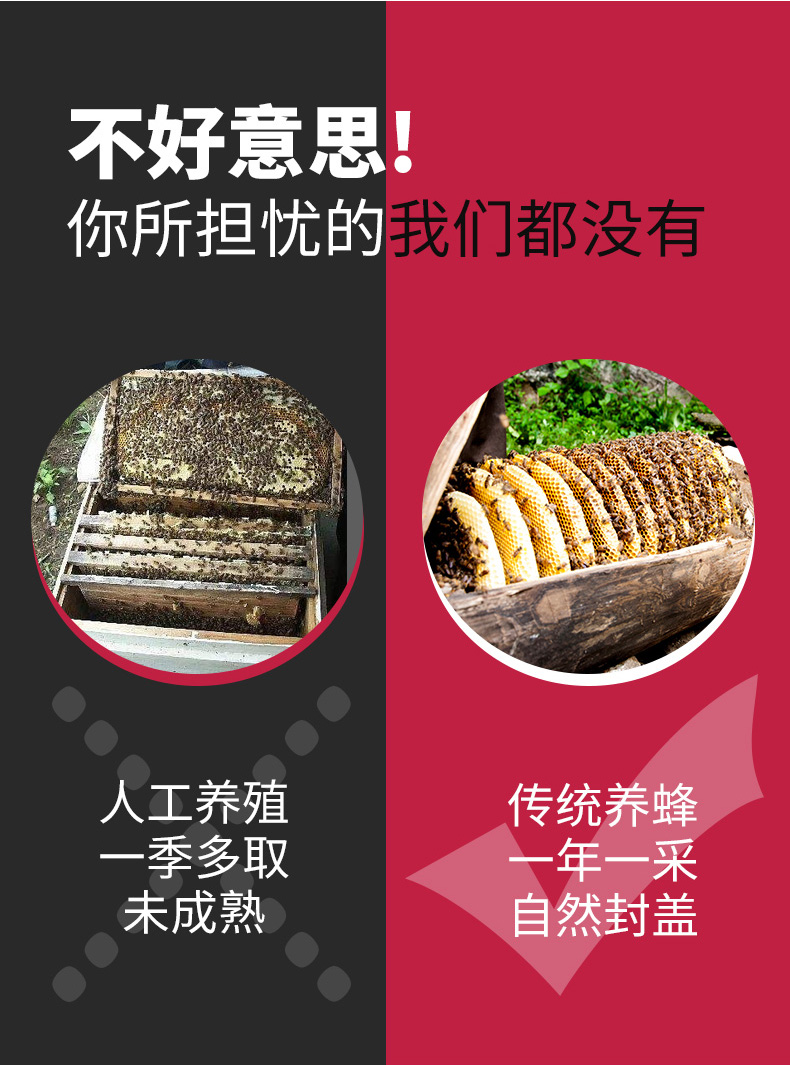 790-标准_02.jpg