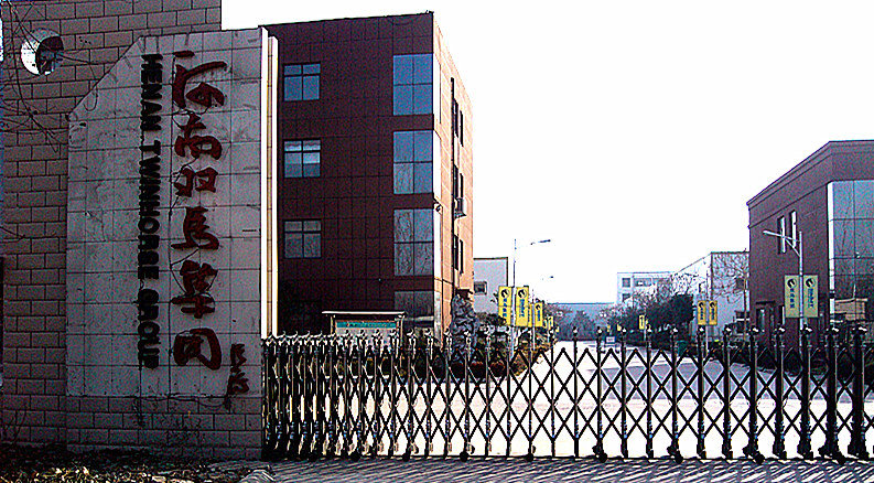 the outlook of factory 01.jpg