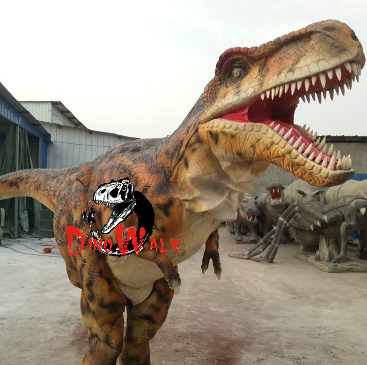 QQ图片20171226171415_副本.jpg QQ图片20171226171415_副本.jpg