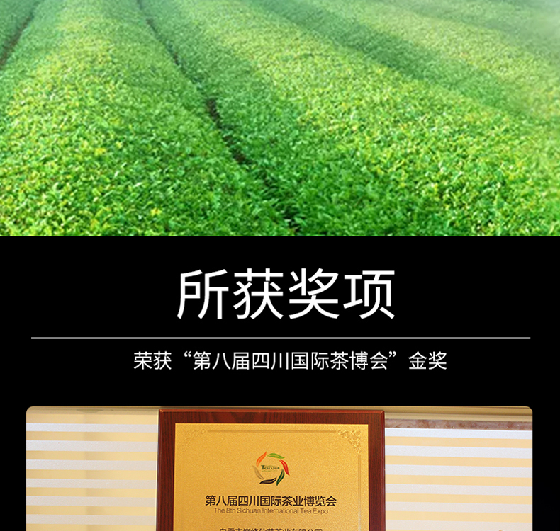茉莉花茶-恢复的-恢复的-恢复的_15.jpg