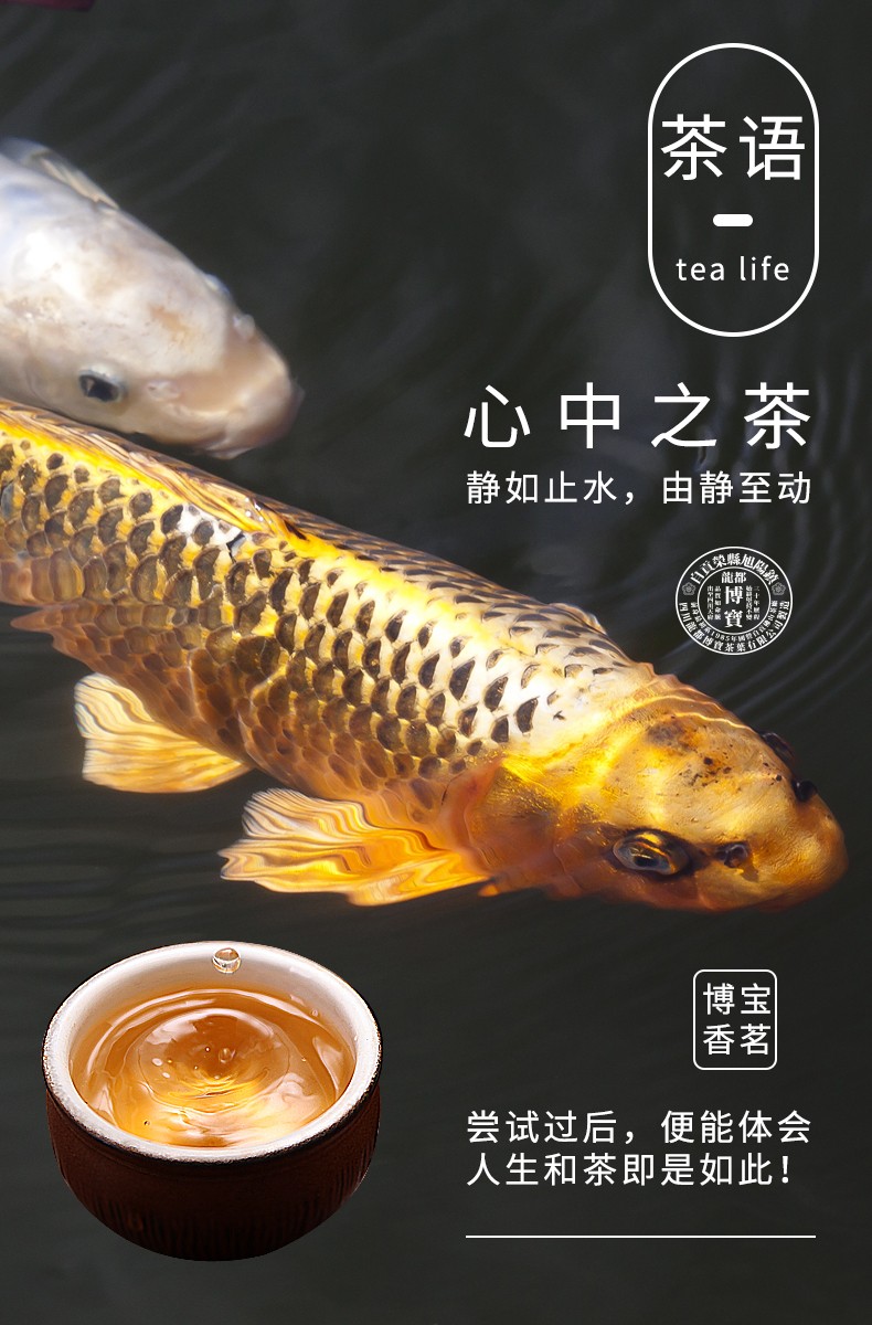 龙都香茗特级浓香型茉莉花茶250g袋装2022新出厂四川花茶 - product