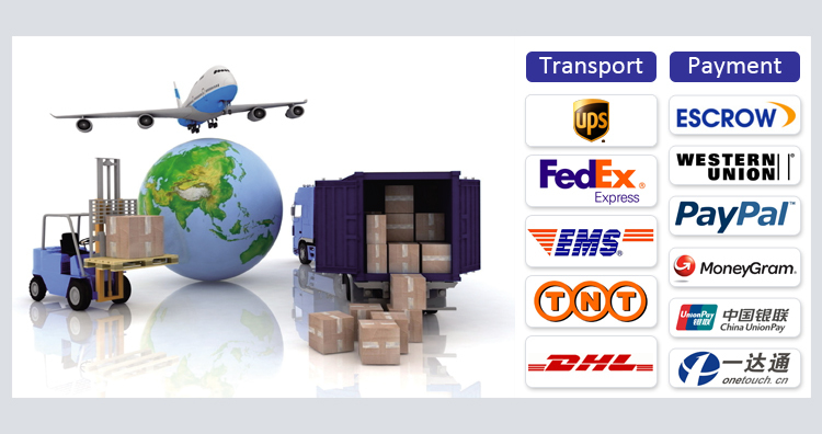 Transport and Payment