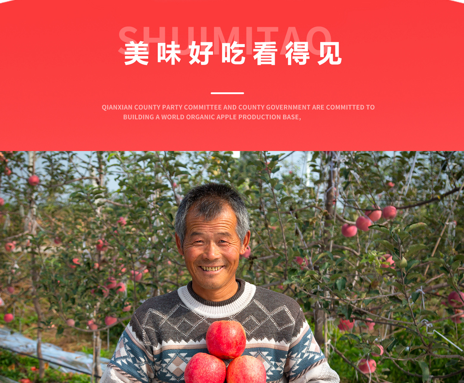详情切片_06.jpg