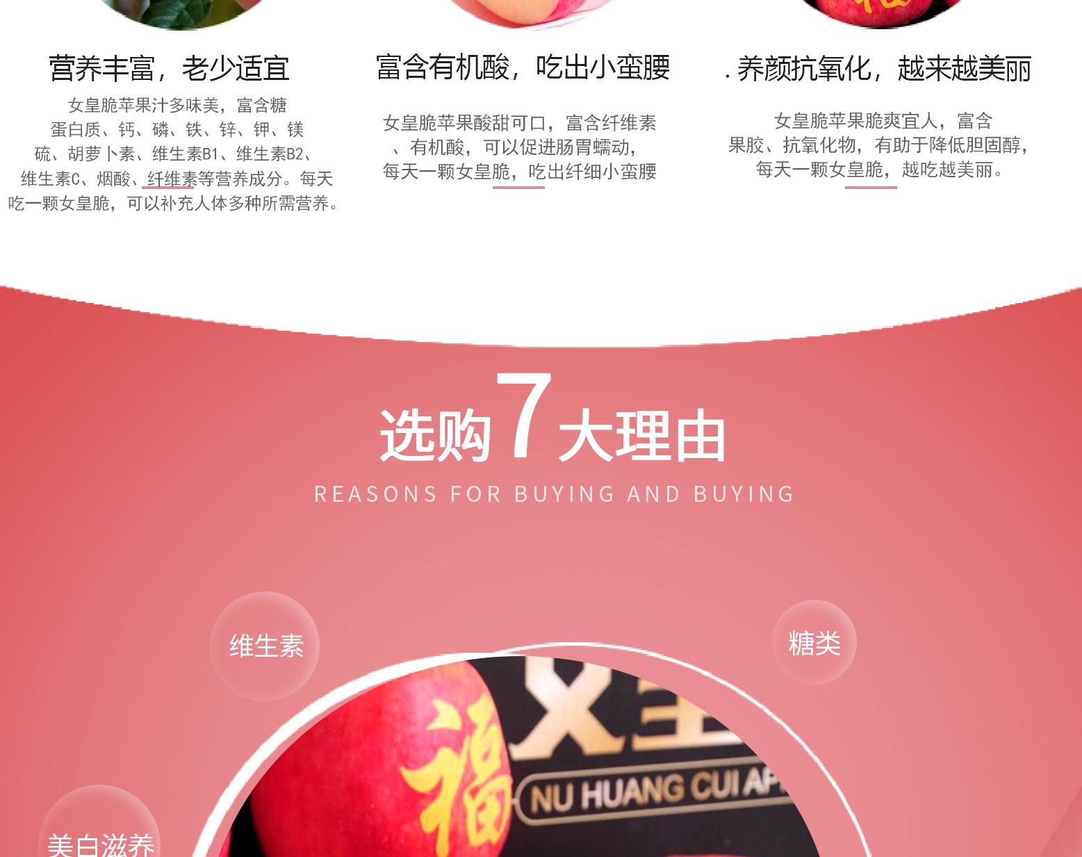 详情切片_100.jpg