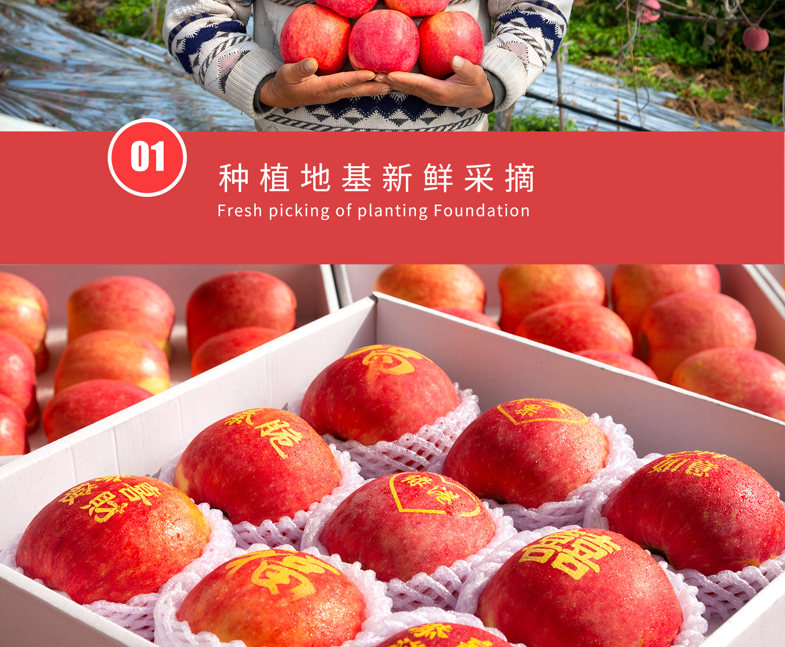 详情切片_07.jpg