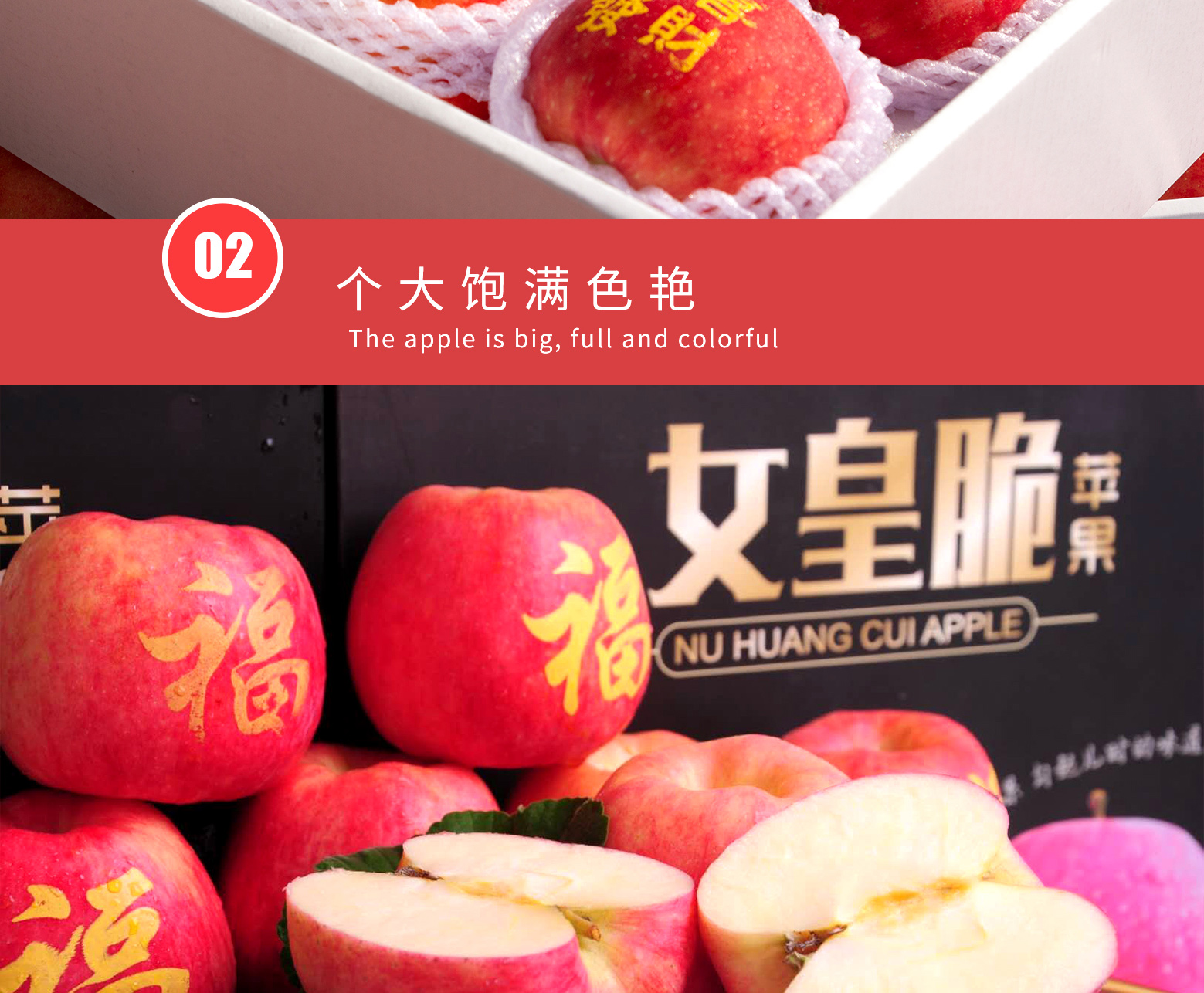 详情切片_08.jpg
