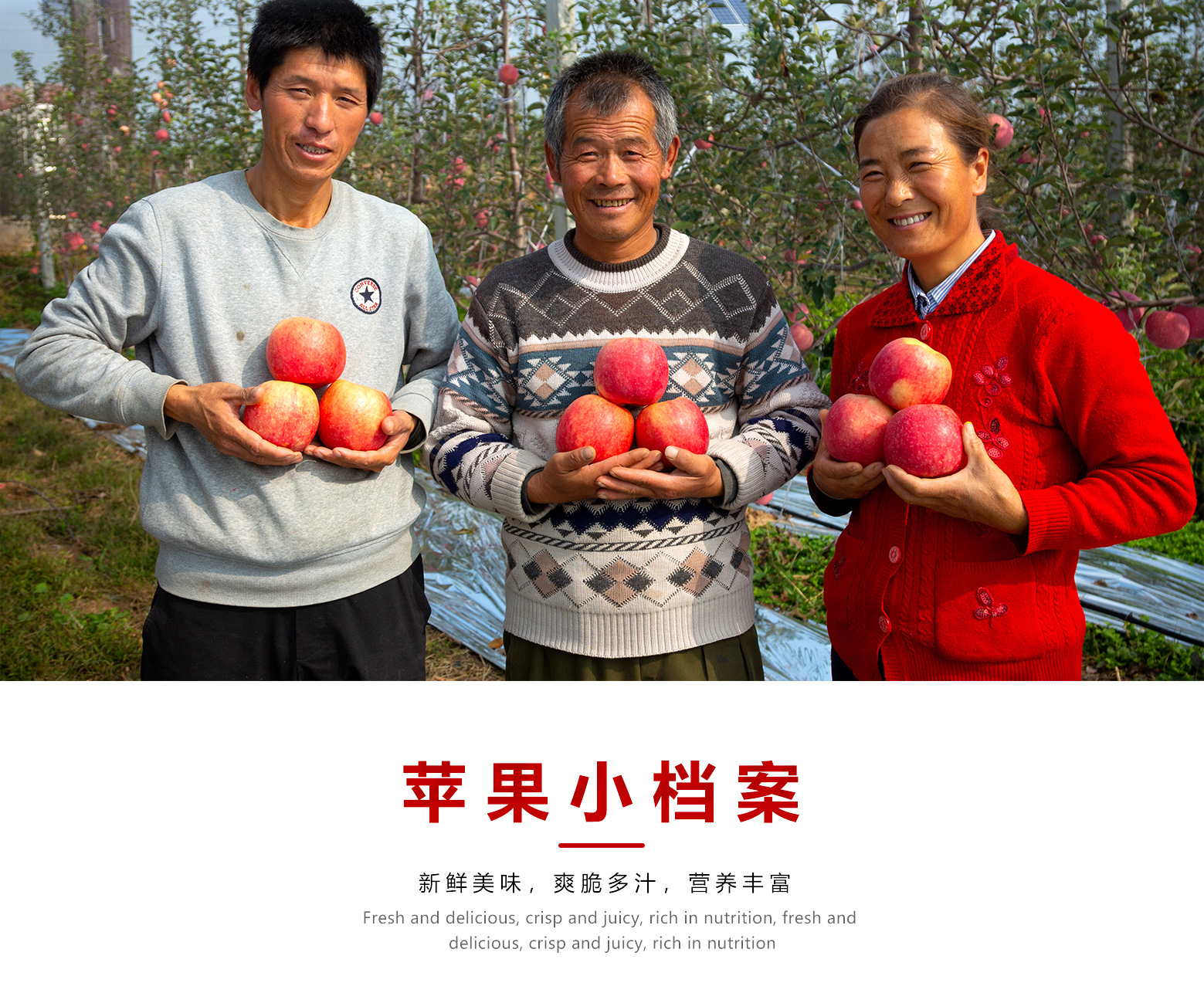 详情切片_02.jpg