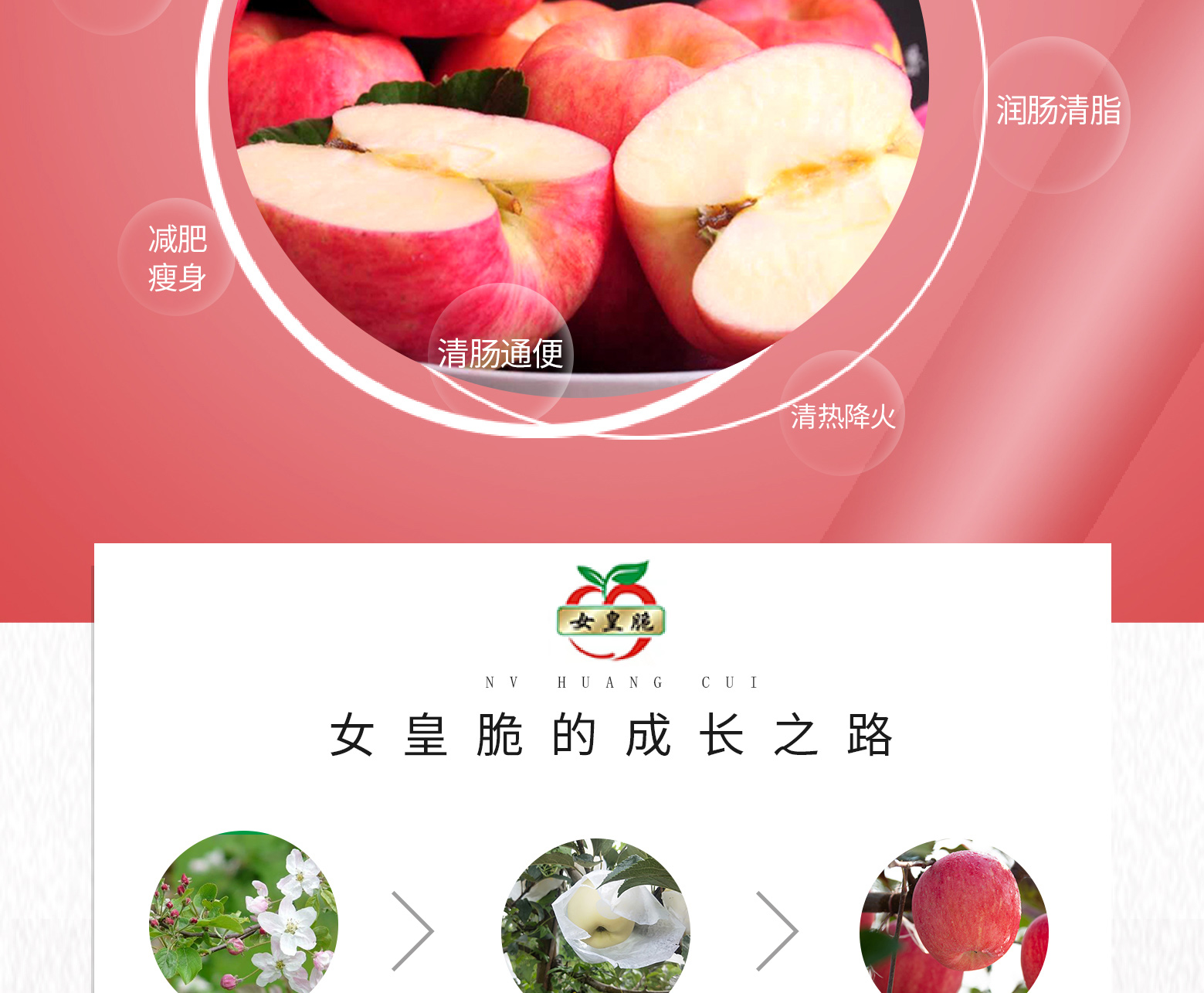 详情切片_11.jpg