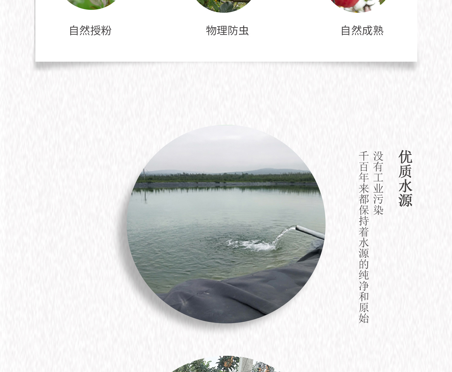 详情切片_12.jpg