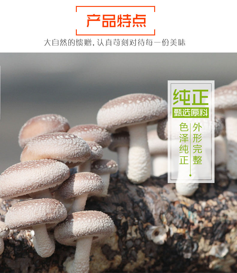 e42db9d06761ef7282e194b86ca9074f_20211006111295339533.jpg e42db9d06761ef7282e194b86ca9074f_20211006111295339533.jpg