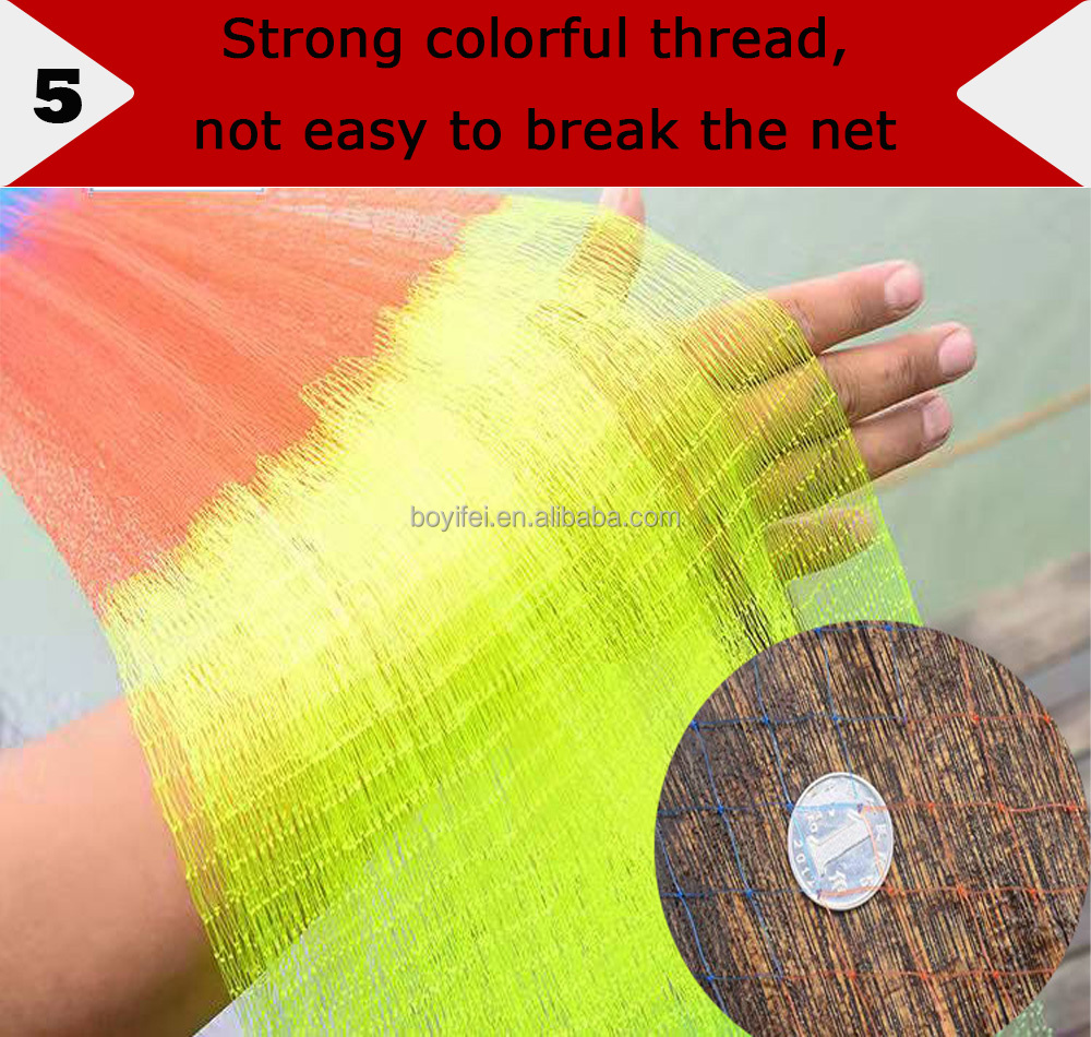 7.jpg 7.jpg