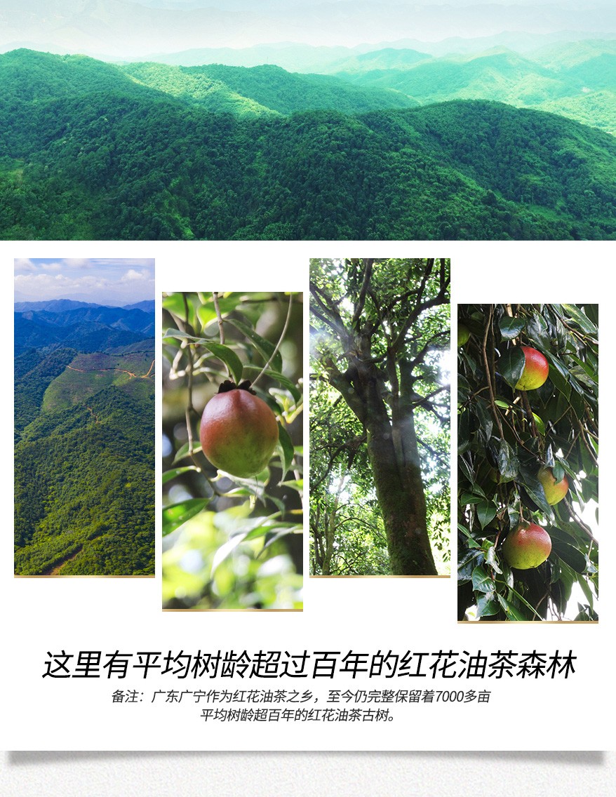 详情页(2).jpg