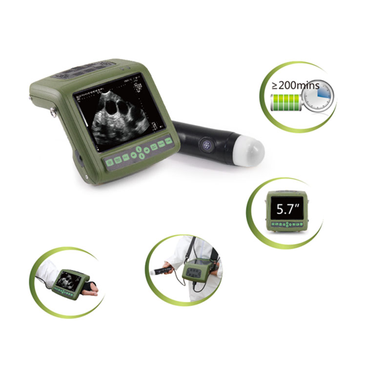 vet ultrasound MSU1PLUS_6.JPG