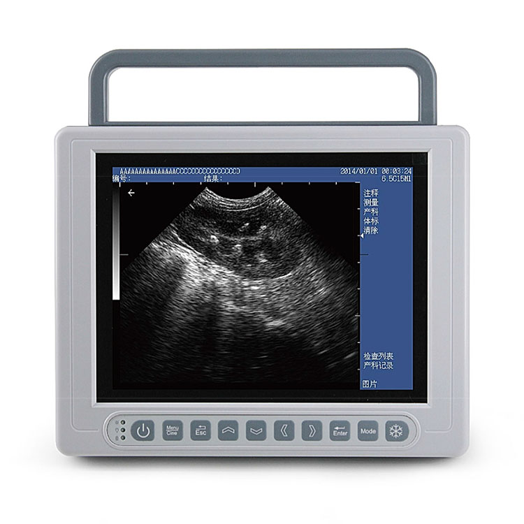 vet ultrasound K10_1.jpg vet ultrasound K10_1.jpg